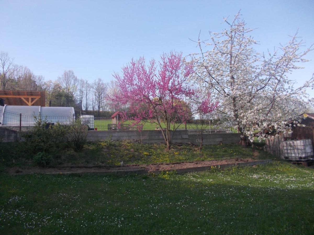 Šumavský domek v Záhoří Bosice Exterior foto